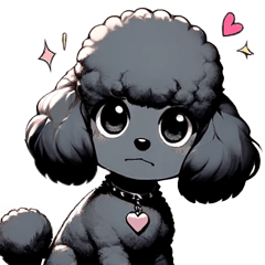 Black toy poodle girl 2