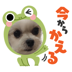 Suzu_20231028211446