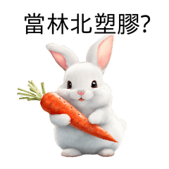 有點嗆兔兔♡當林北塑膠?