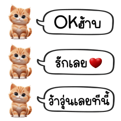 Orange Cat Chat : Cute Word
