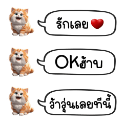 Orange Fat Cat Chat : Cute Word
