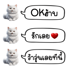 White Fat Cat Chat : Cute Word