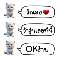 White Cat Cute Chat : Cute Word