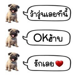 Pug Dog Chat : Cute Word