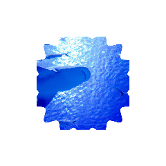 Stamp aquarium large ray and shark acti