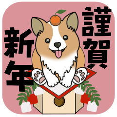 Corgis cute sticker 04
