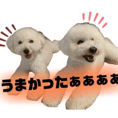 omochi_20231029173525