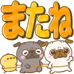 pug chan sticker piyotanuki dog