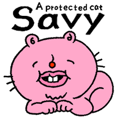 A protected cat Savy