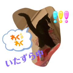 MEGUMI_20231029185516