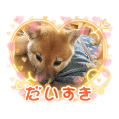 chisa_20231029191046