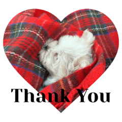 sunny_20231029210431