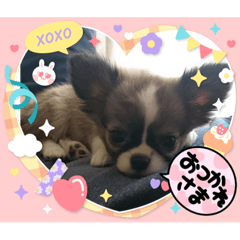 hana_20231029211159