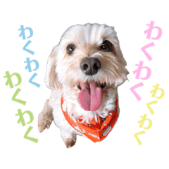 Kana_20231029194218