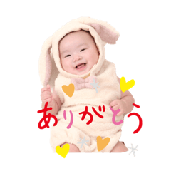 miffy_20231030075058