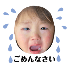 shio_202310301520556