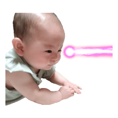 sakura_20231029234723