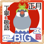 Java sparrow wearing a dragon headgear