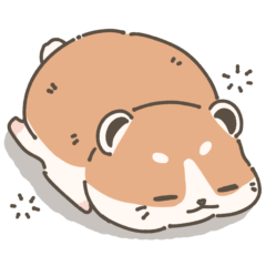 Laze Hamster