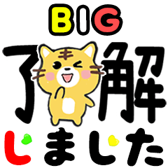 Big Stickers-Big letter 2023-tiger cat