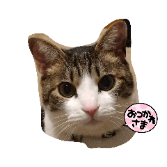 Tomsun_20231030224805