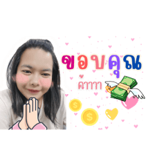 Nidnoisicute