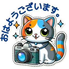 cameraman cat