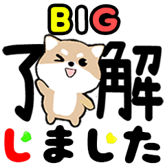 Big Stickers-Big letter 2023-Mameshiba