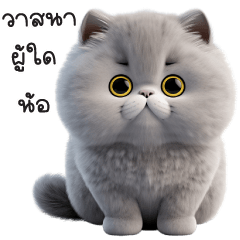 "KeeTao"cute gray cat