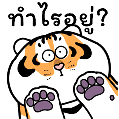 Fat Tiger Fun Daily Life Animated