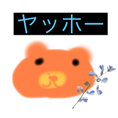 suzu_20231031170904