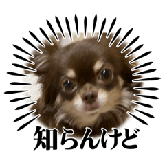 hana_20231101110704