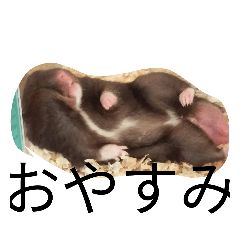 natsumi_20231031211004