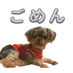 Hana_20231101112044