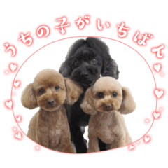 Andie_20231101133821