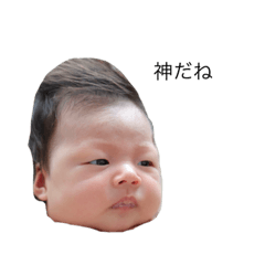 sakura_20231031214848