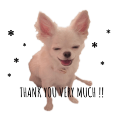 omochi_20231101124934
