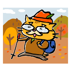 茶トラ猫お父さん。秋だねぇ。