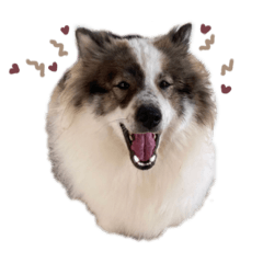 ฉันน่ะบางแก้ว