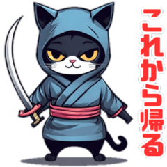 Adorable Ninja Whispers  cats