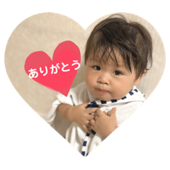 sakura_20231031220549