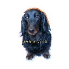 Natsumi_20231031234157