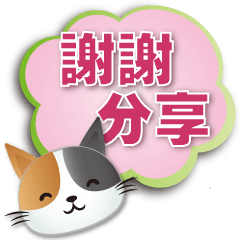 cute Calico cat- practical phrases*.*