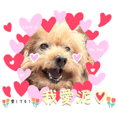 棒棒熊熊