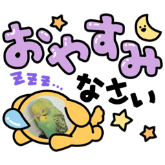 Nao_20231101155923