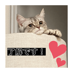 yuka_20231101174318