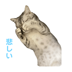 yuka_20231101174847