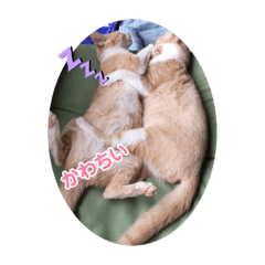 Yuka_20231101163941