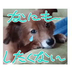 SAKURA_20231101143509