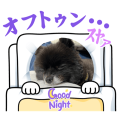 kana_20231101203259